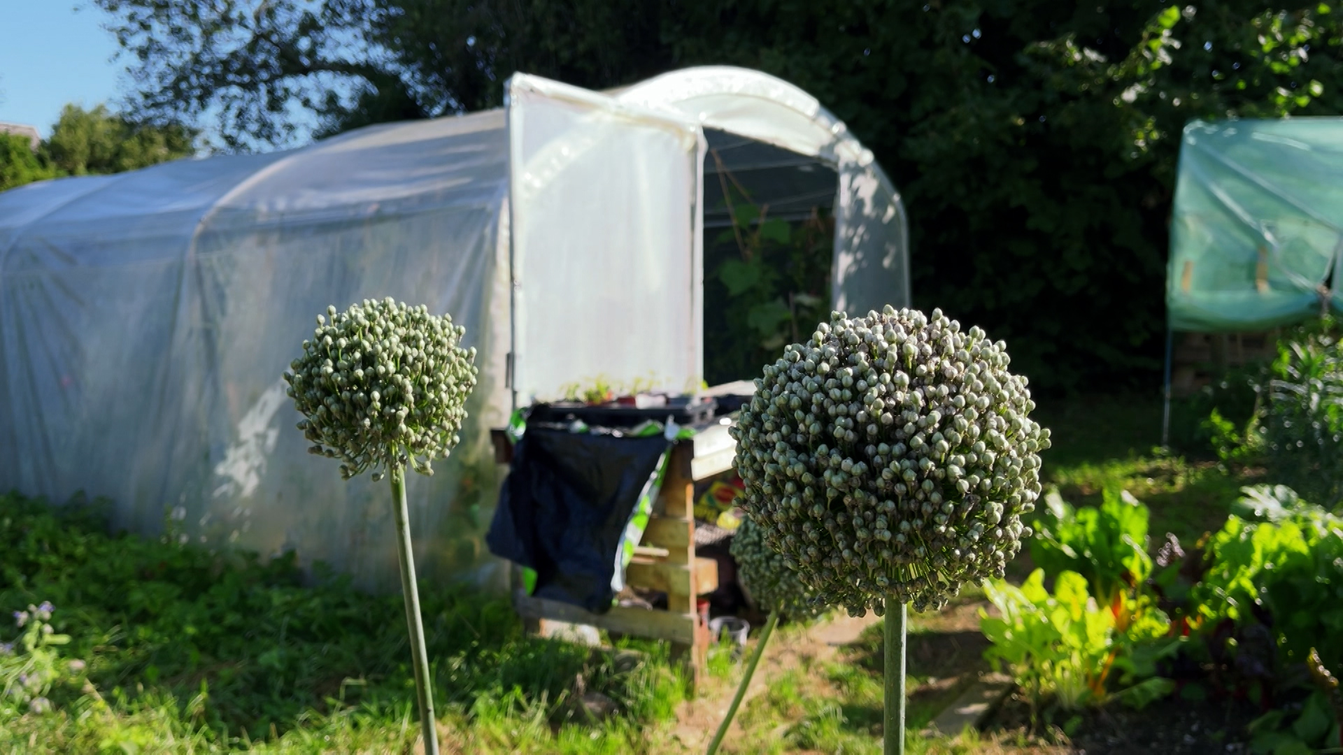 Le potager collectif de Walcourt cherche des jardiniers