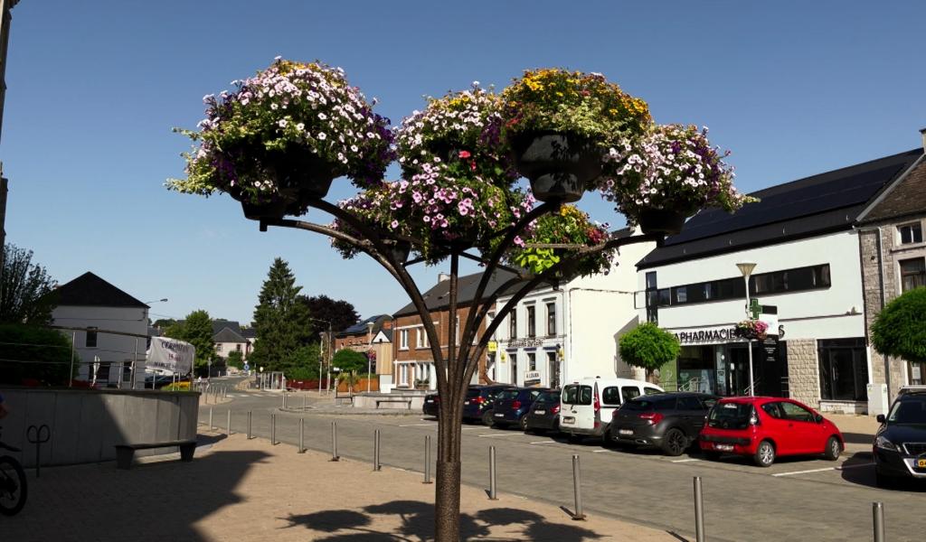 Concours Wallonie en Fleurs - Cerfontaine à la conquête d'une troisième fleur