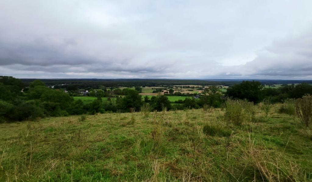 La plus belle prairie wallonne est à Doische