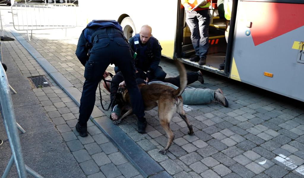 Premier concours de chiens de la Police et de la Défense à Walcourt