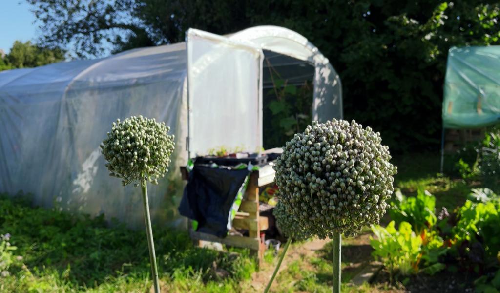 Le potager collectif de Walcourt cherche des jardiniers