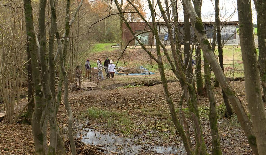 L'espace boisé Rolywood : un endroit dédié à la communauté