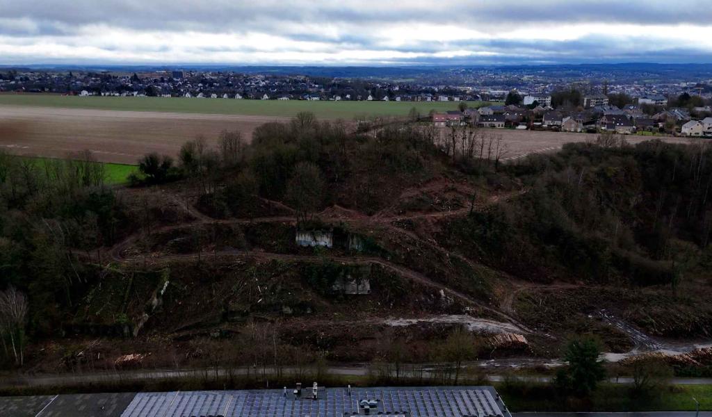 Saint-Servais: coupes sévères dans la Vallée du Frizet