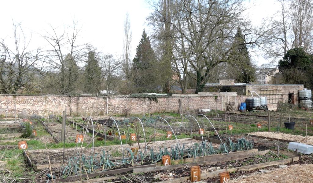 Métaux lourds : trois des cinq potagers namurois fermés au public