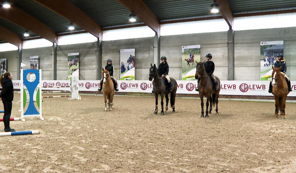 Le sport-études, un modèle à l'américaine proposé aux élèves du premier degré de l'EPEEG