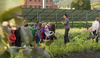 De l'assiette au producteur: les jeunes élèves rendent visite aux maraîchers