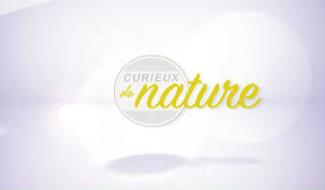 Curieux de nature - 15/04/2024