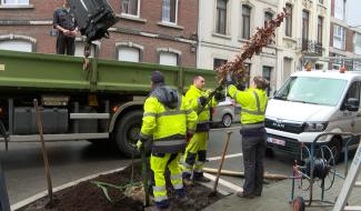 Namur: végétaliser pour s'adapter au réchauffement climatique