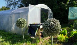 Le potager collectif de Walcourt cherche des jardiniers