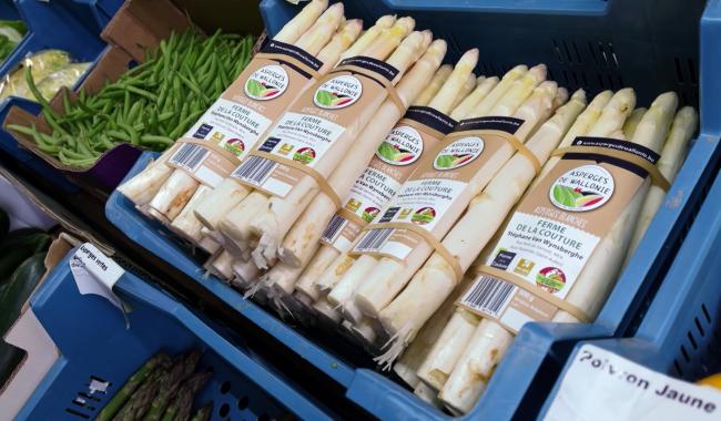 Florennes - La saison des asperges de Wallonie est ouverte!