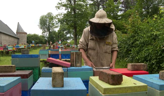 Apiculture : "Nous n'avons récolté que quatre tonnes de miel contre quinze habituellement"