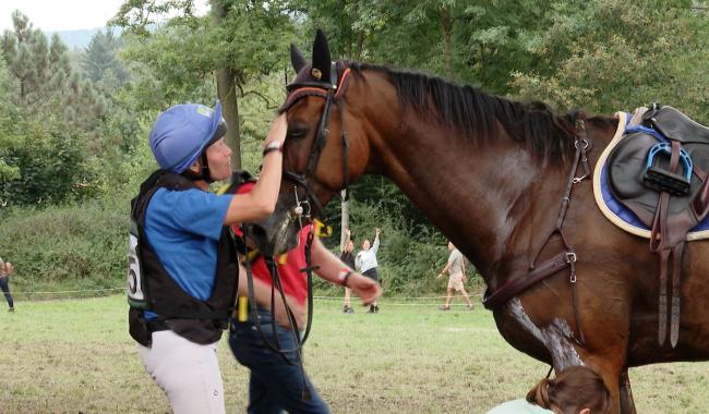 Donckers championne de Belgique, frayeur pour Lara de Liedekerke, et de nombreux médaillés olympiques à l'affiche du concours international d'Arville