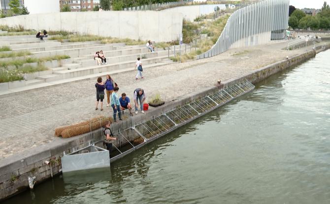 De nouveaux paniers végétalisés pour la faune aquatique