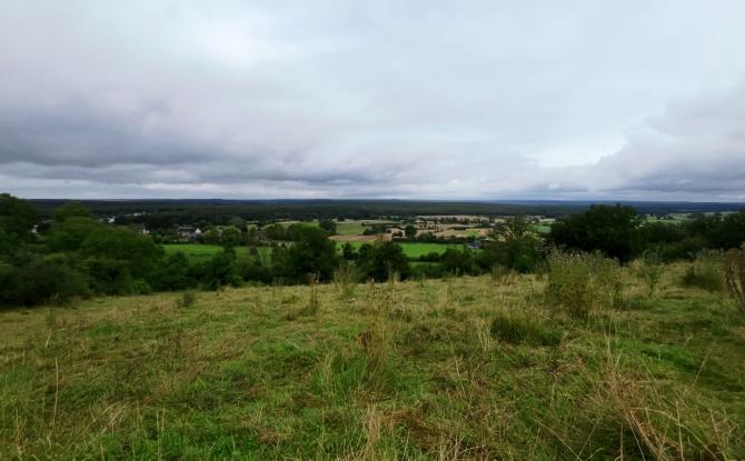 La plus belle prairie wallonne est à Doische