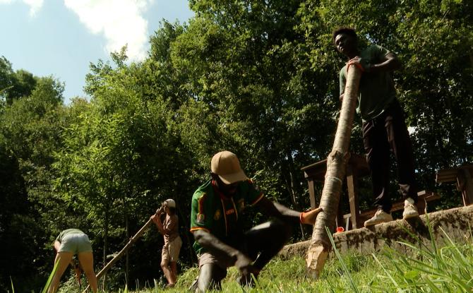 Les Compagnons Bâtisseurs à Gesves : immersion d'une semaine au contact de la nature pour les jeunes volontaires