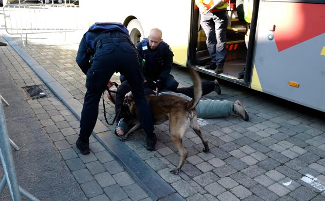 Premier concours de chiens de la Police et de la Défense à Walcourt