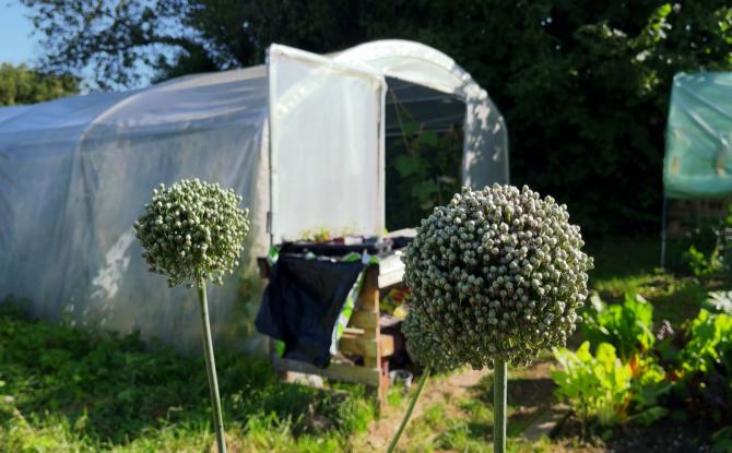 Le potager collectif de Walcourt cherche des jardiniers