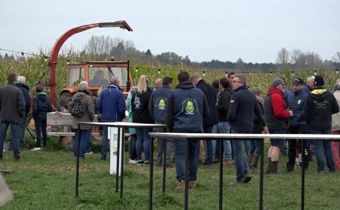 Ensilage à l'ancienne : dernier événement de la première édition du labyrinthe de Walcourt