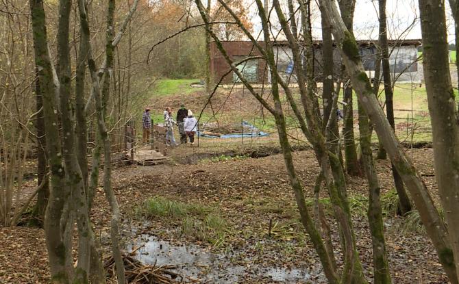 L'espace boisé Rolywood: un endroit dédié à la communauté